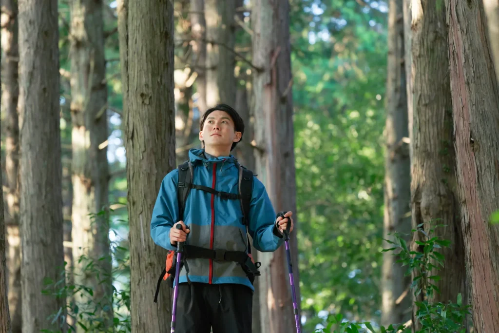 杉林でザックを背負う登山者