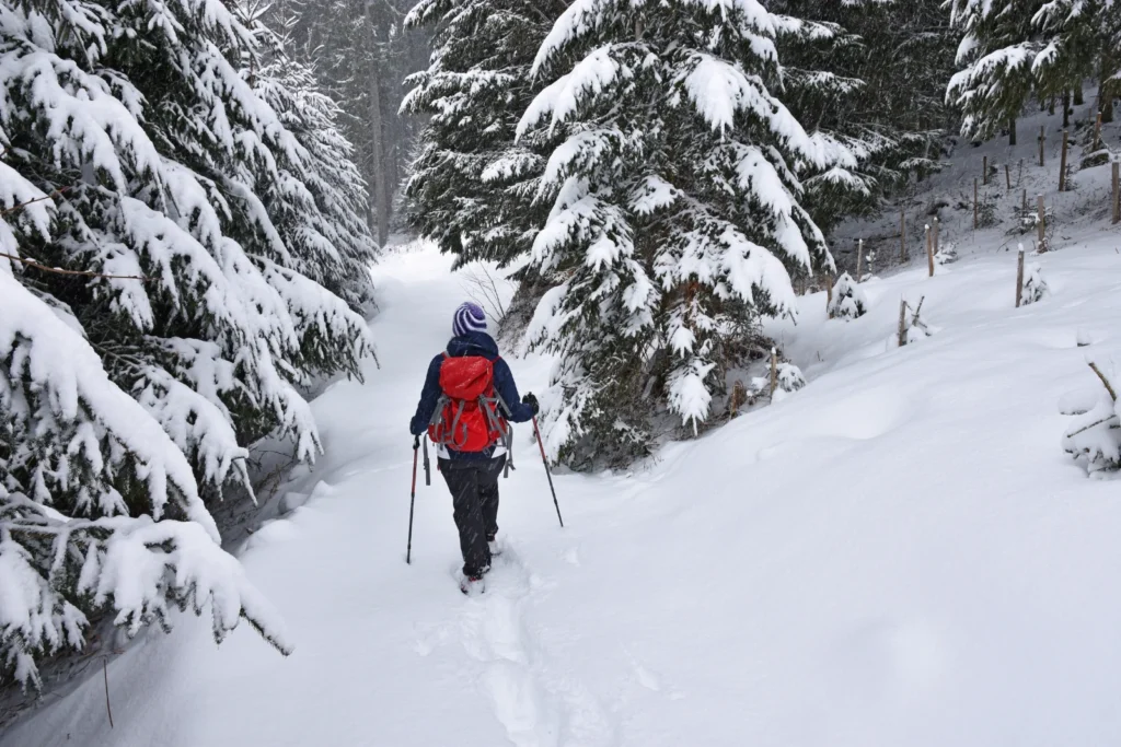 雪の降る森をスノーシューで歩く登山者